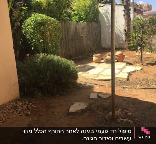 גינה עם עציצים, שיחים ואדמה חשופה